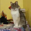 Отзыв от Жанна Громова